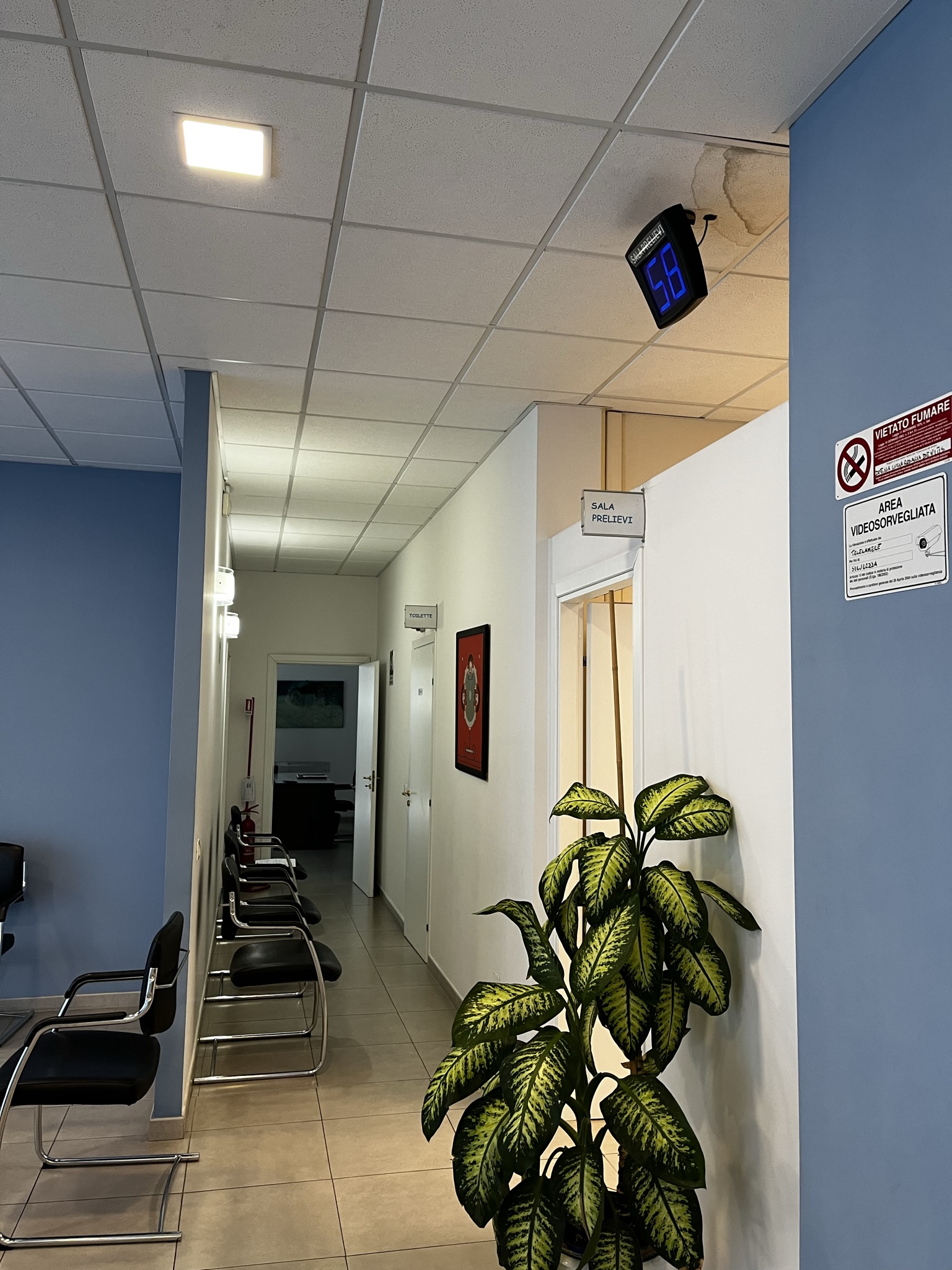 Corridoio interno del laboratorio De Vitis con sala prelievi, sala d'attesa e pareti blu tenue